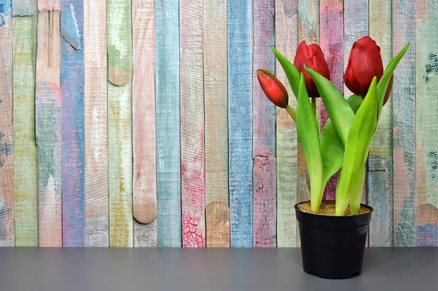 umělé tulipány v květináči